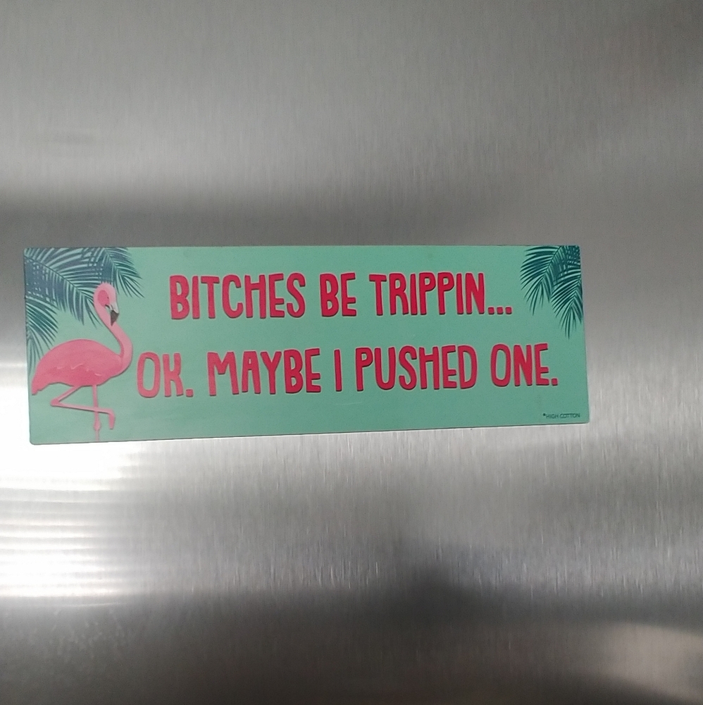 Humorous Flamingo Magnet - Green and Pink